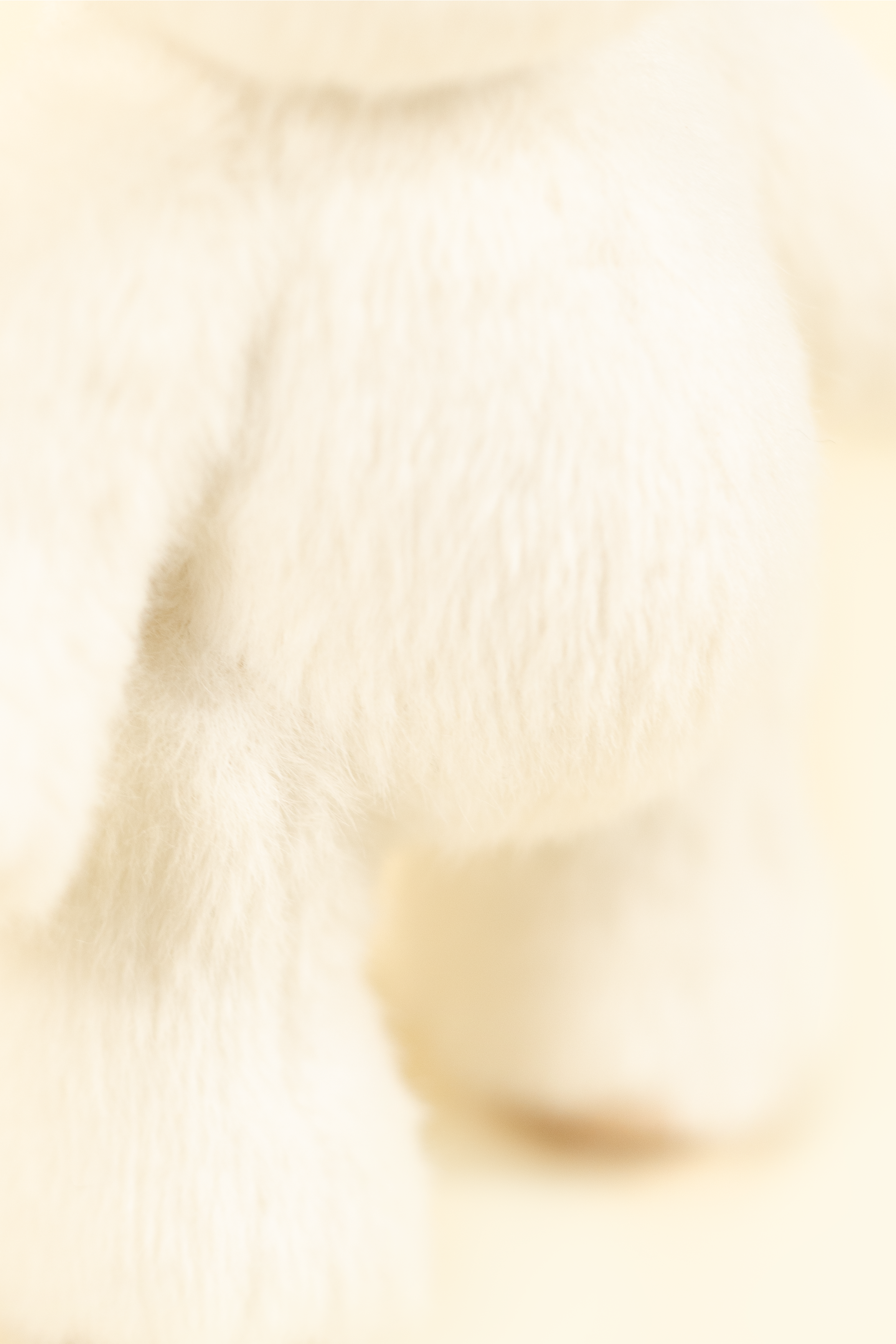 Lina Bear in White (15cm)