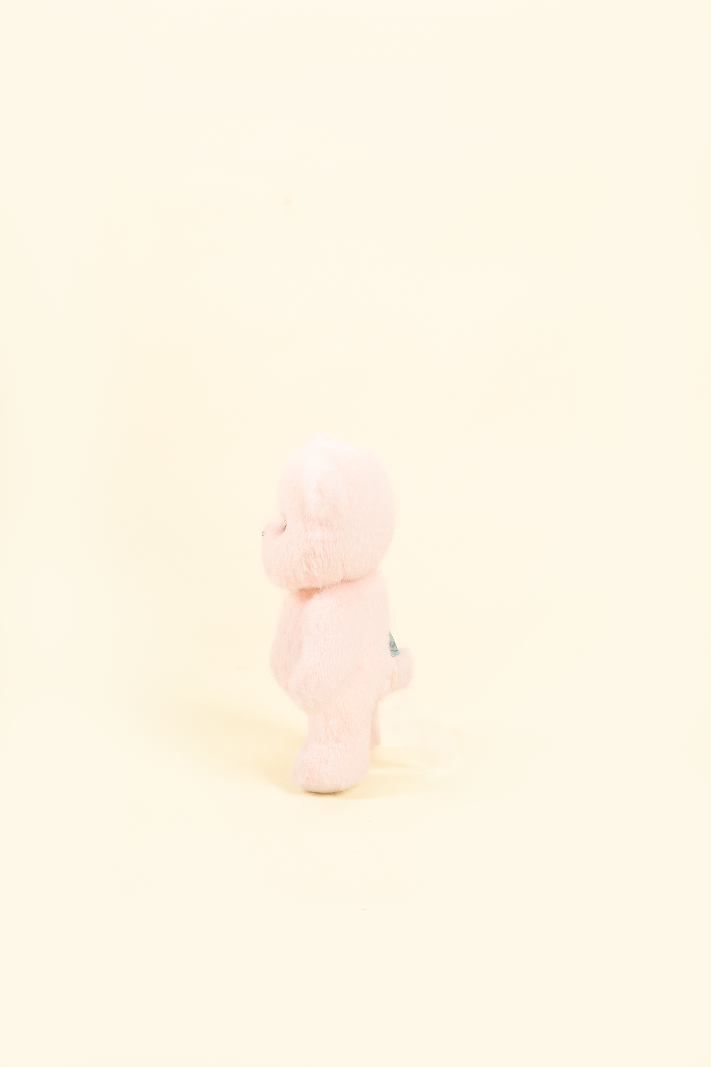 リナベア(ピンク、15cm)
