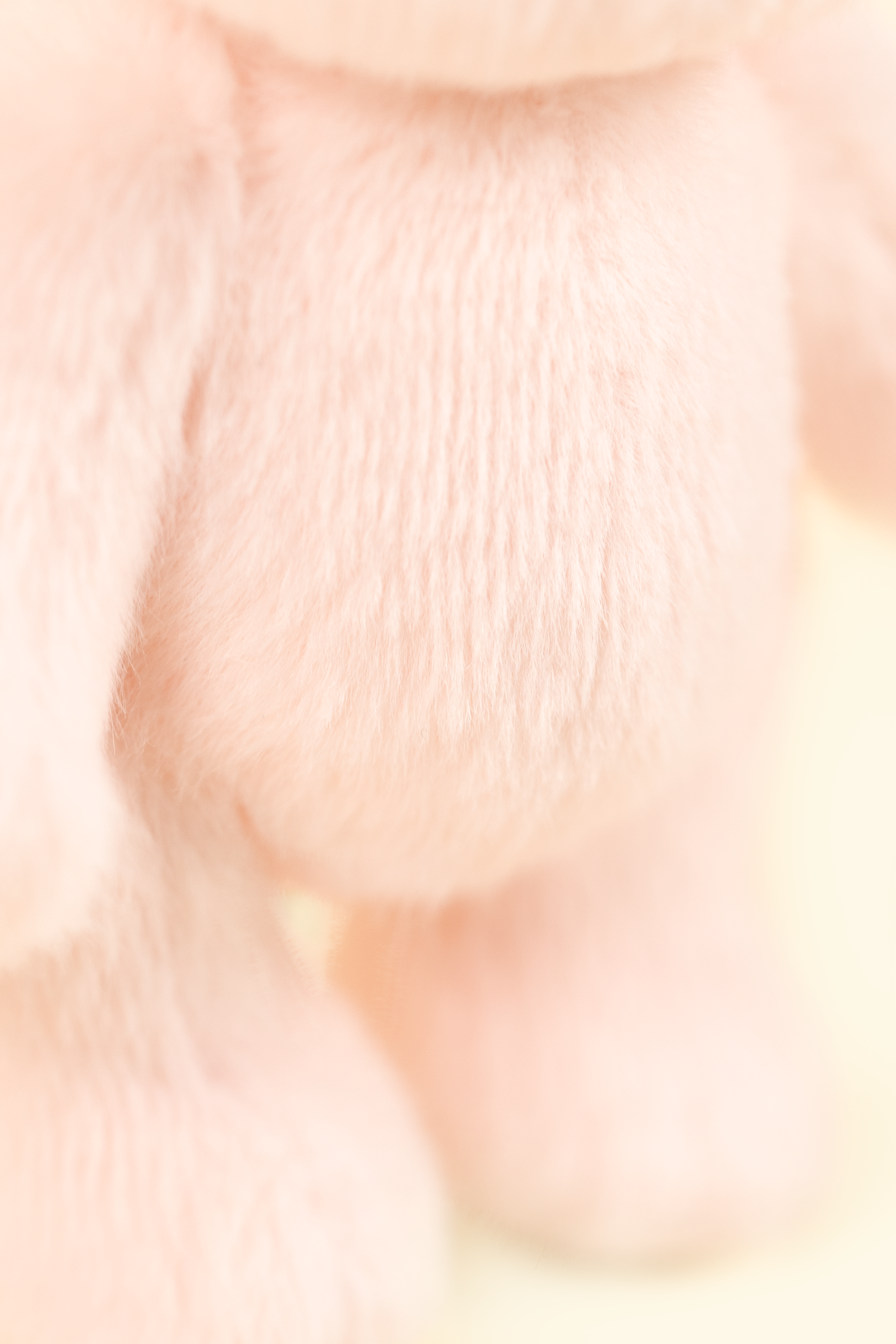 Lina Bear in Pink (15cm)