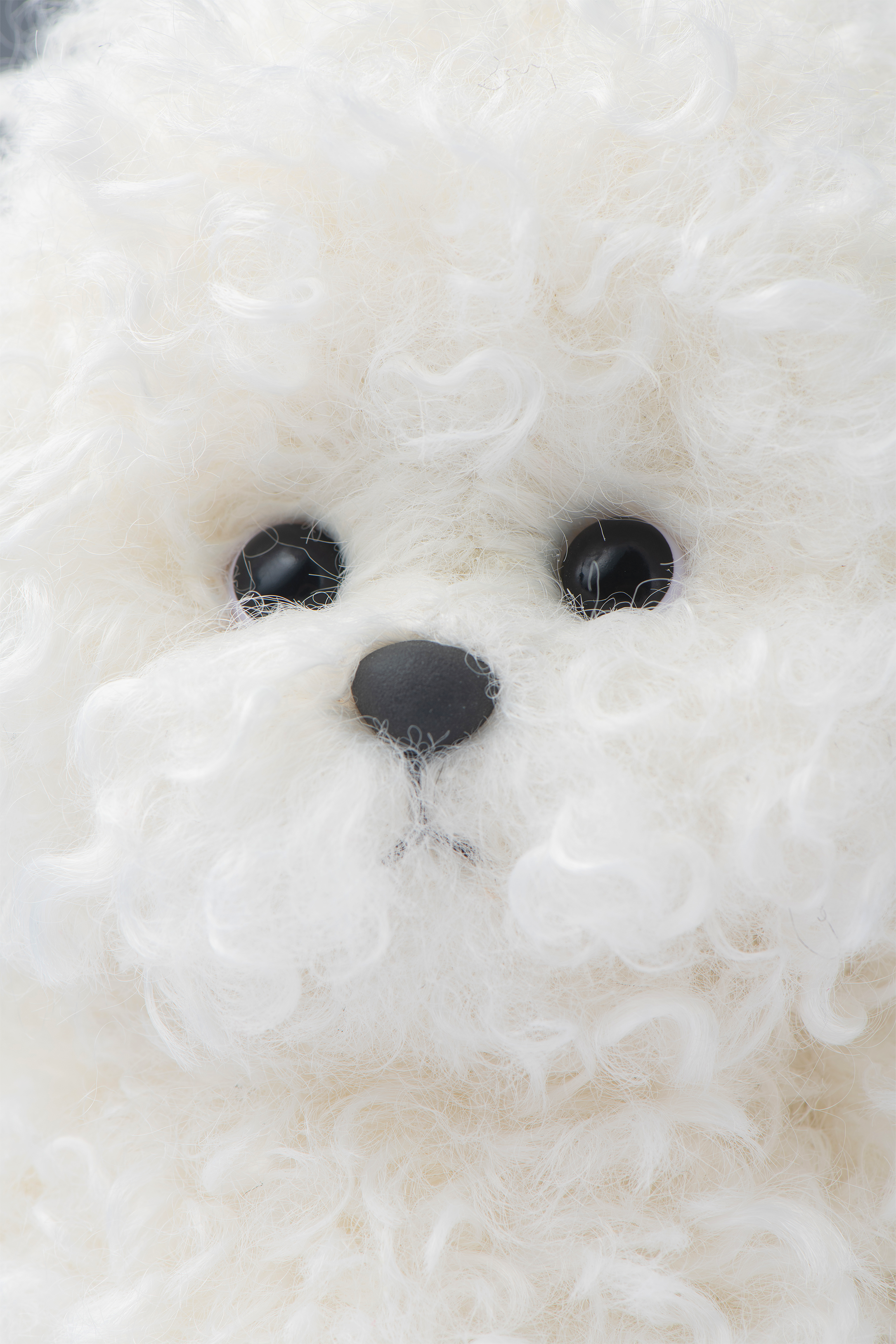 リナパピー ビションフリーゼ 衣装付き 白 (20cm)