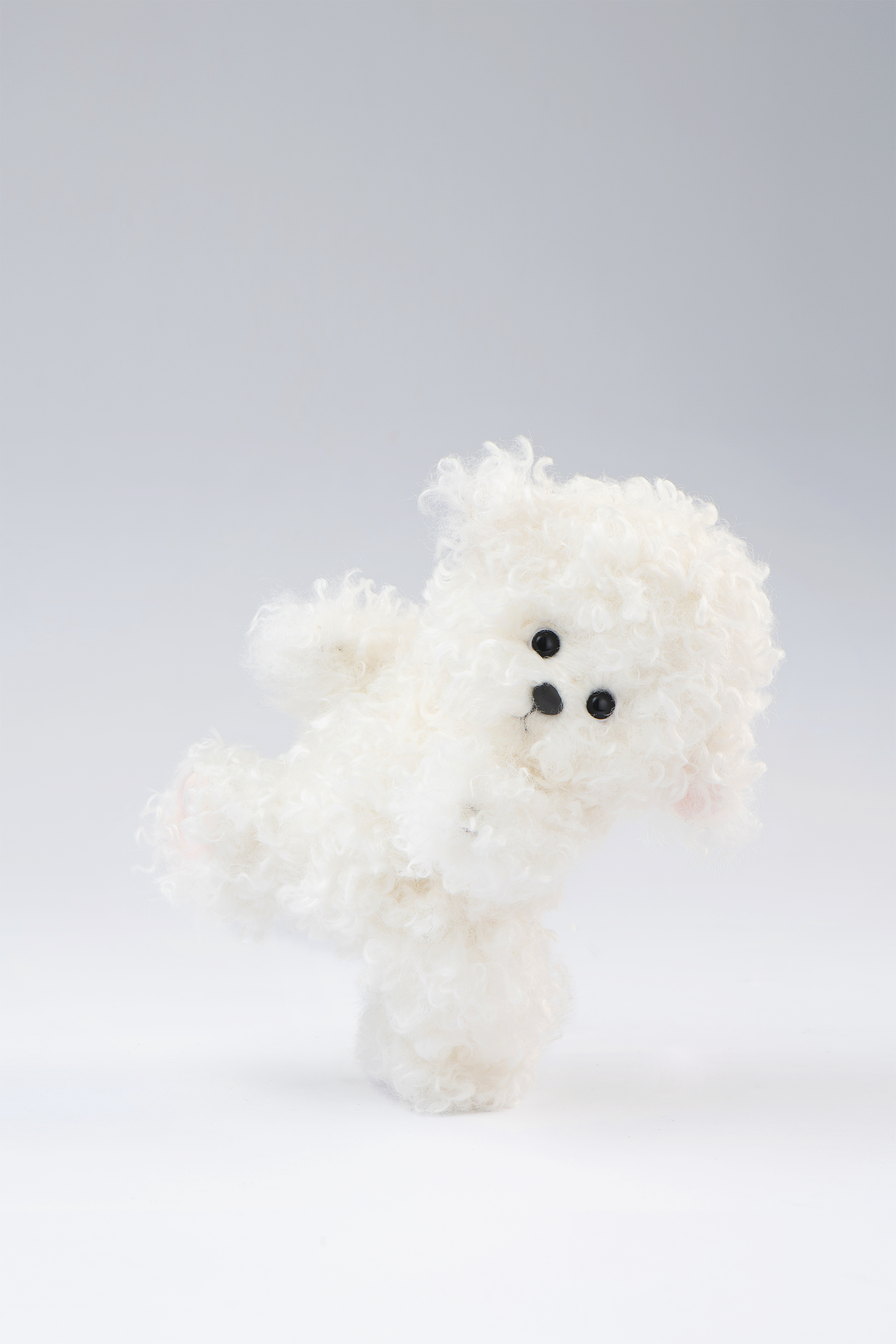 リナパピー ビションフリーゼ 衣装付き 白 (20cm)