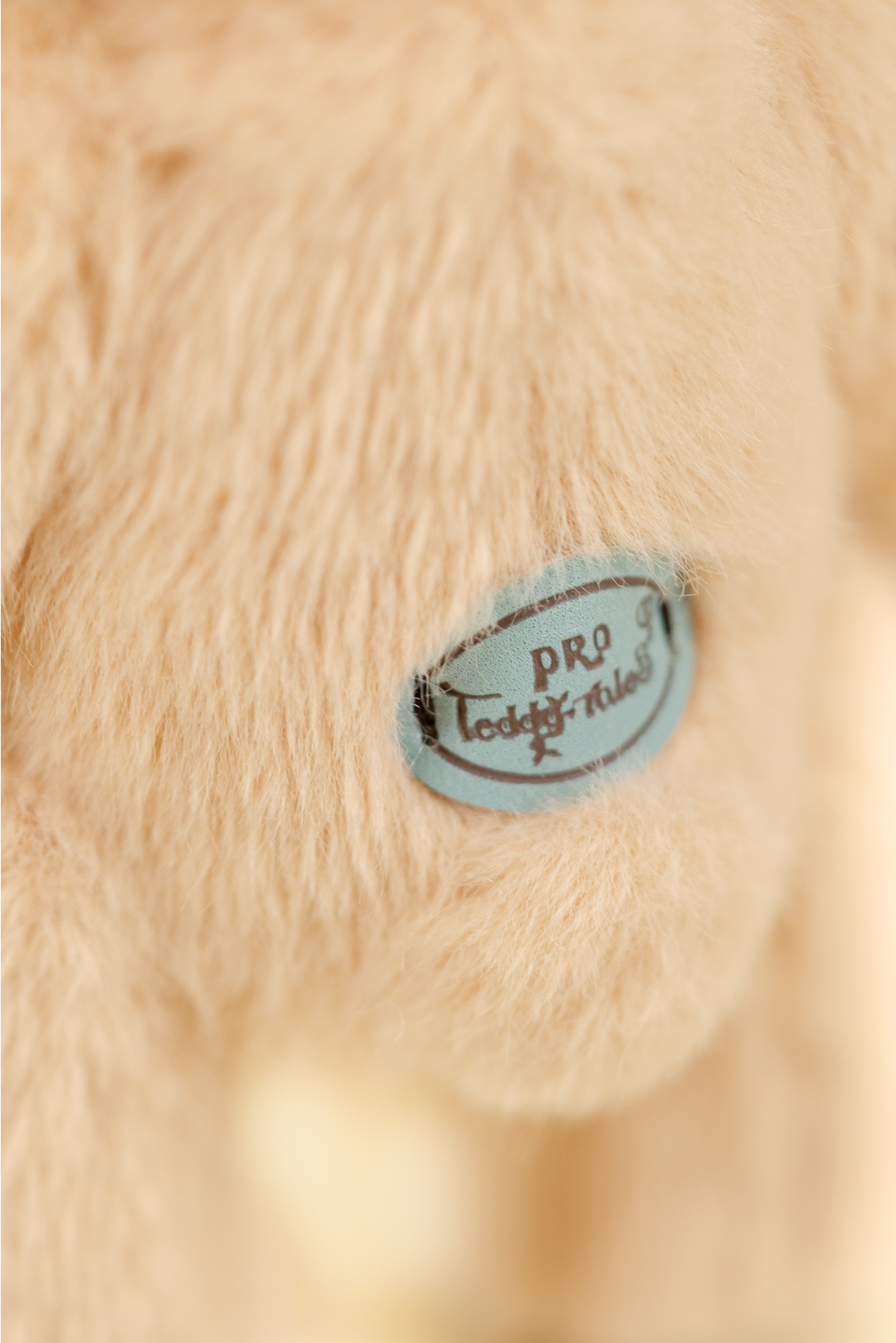Lina Bear in Milk Tea (15cm)