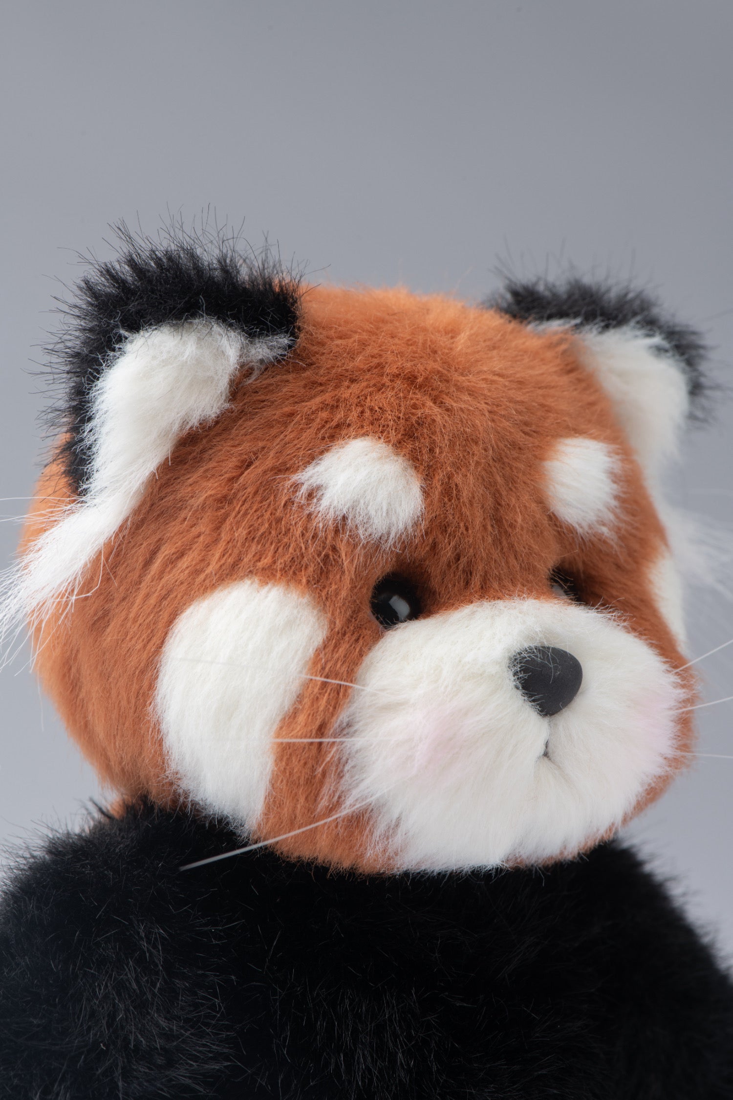 レッサーパンダのぬいぐるみ(20cm)