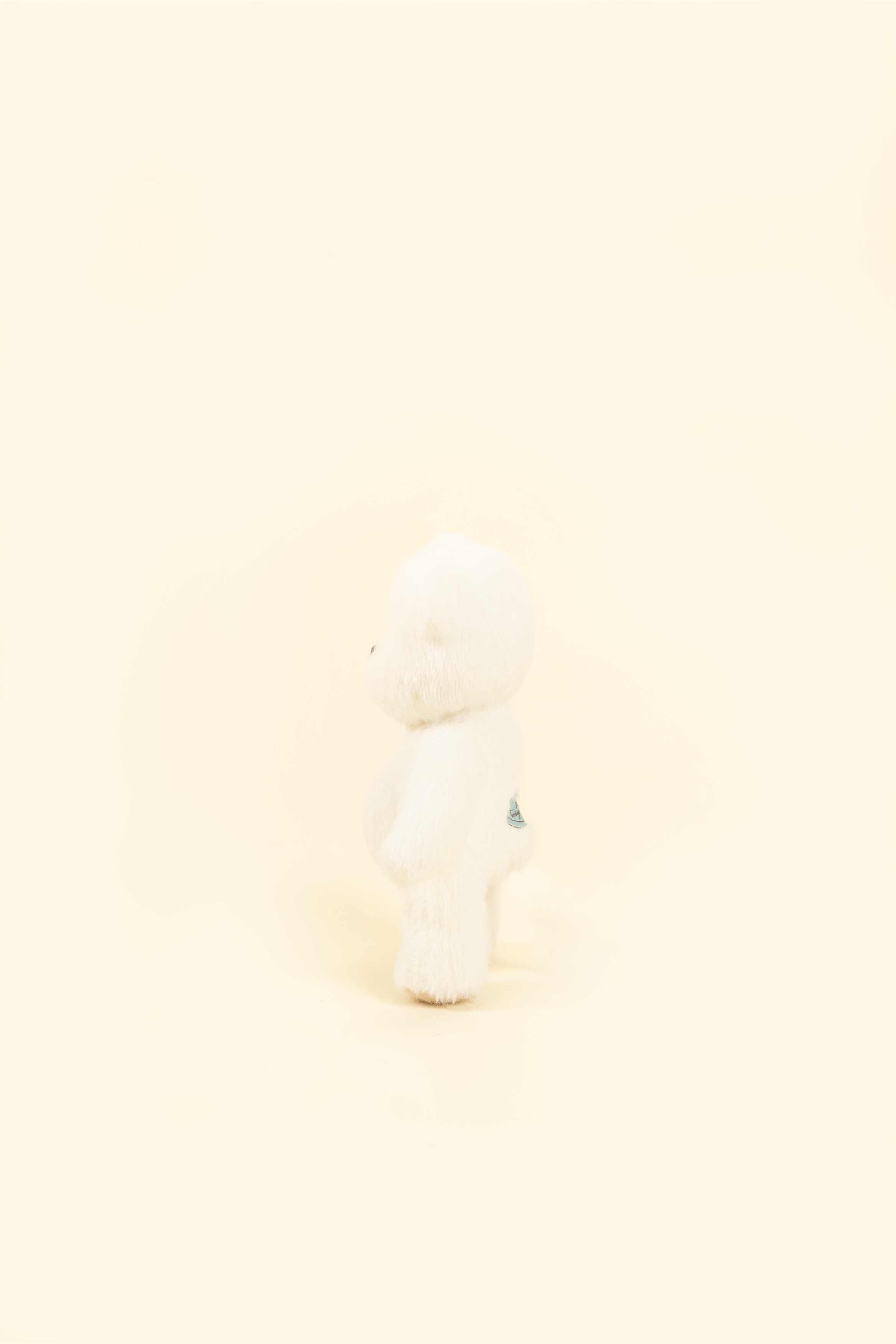 リナベア ホワイト(15cm)