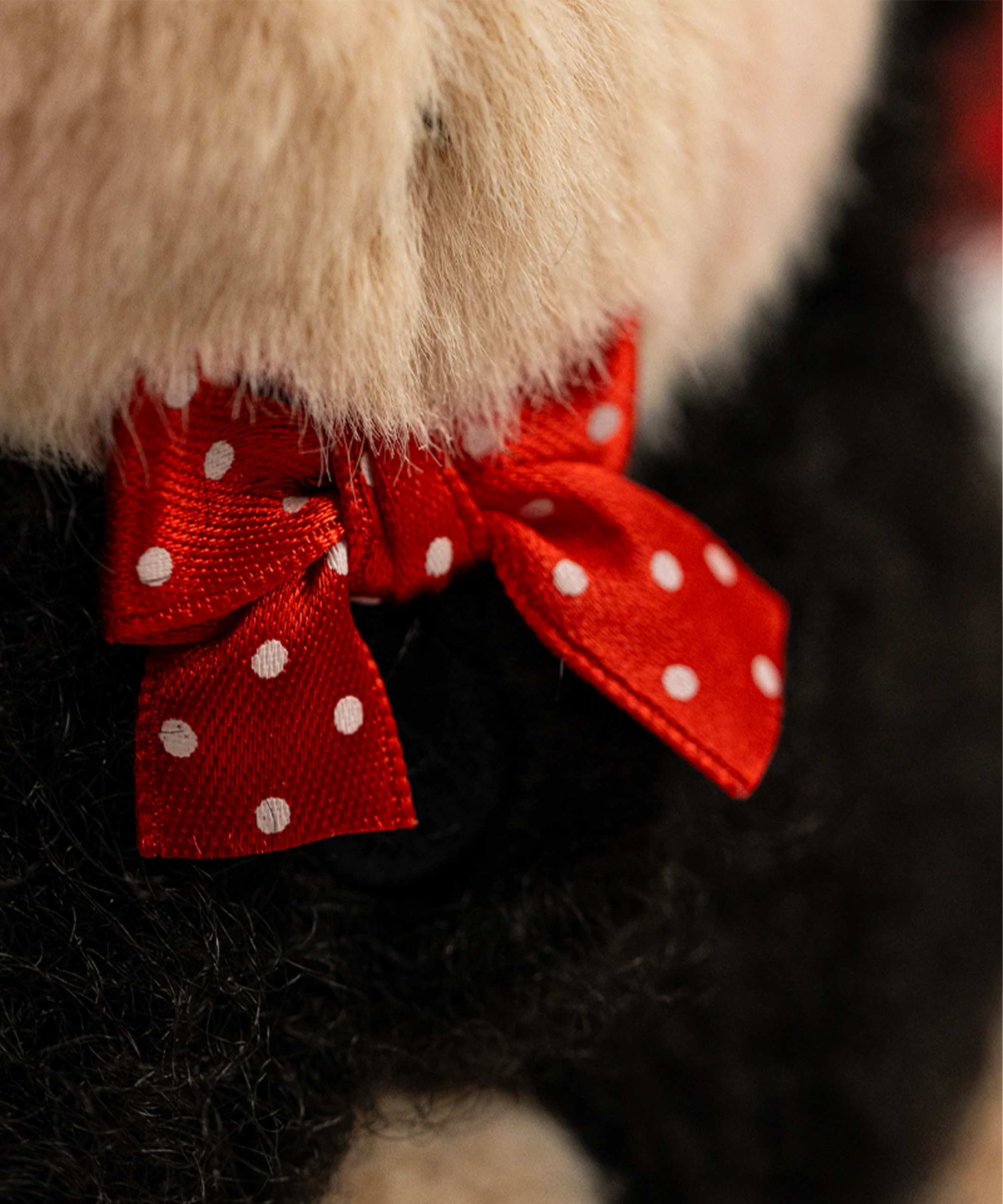 Cos Series-Black Devil Cloak-XS(15cm)