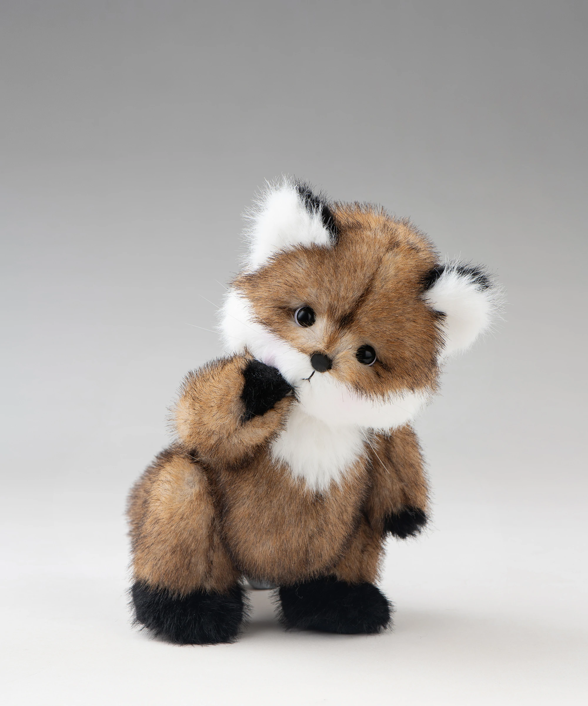 Lina Fox-Taffy Caramel-S(20cm)