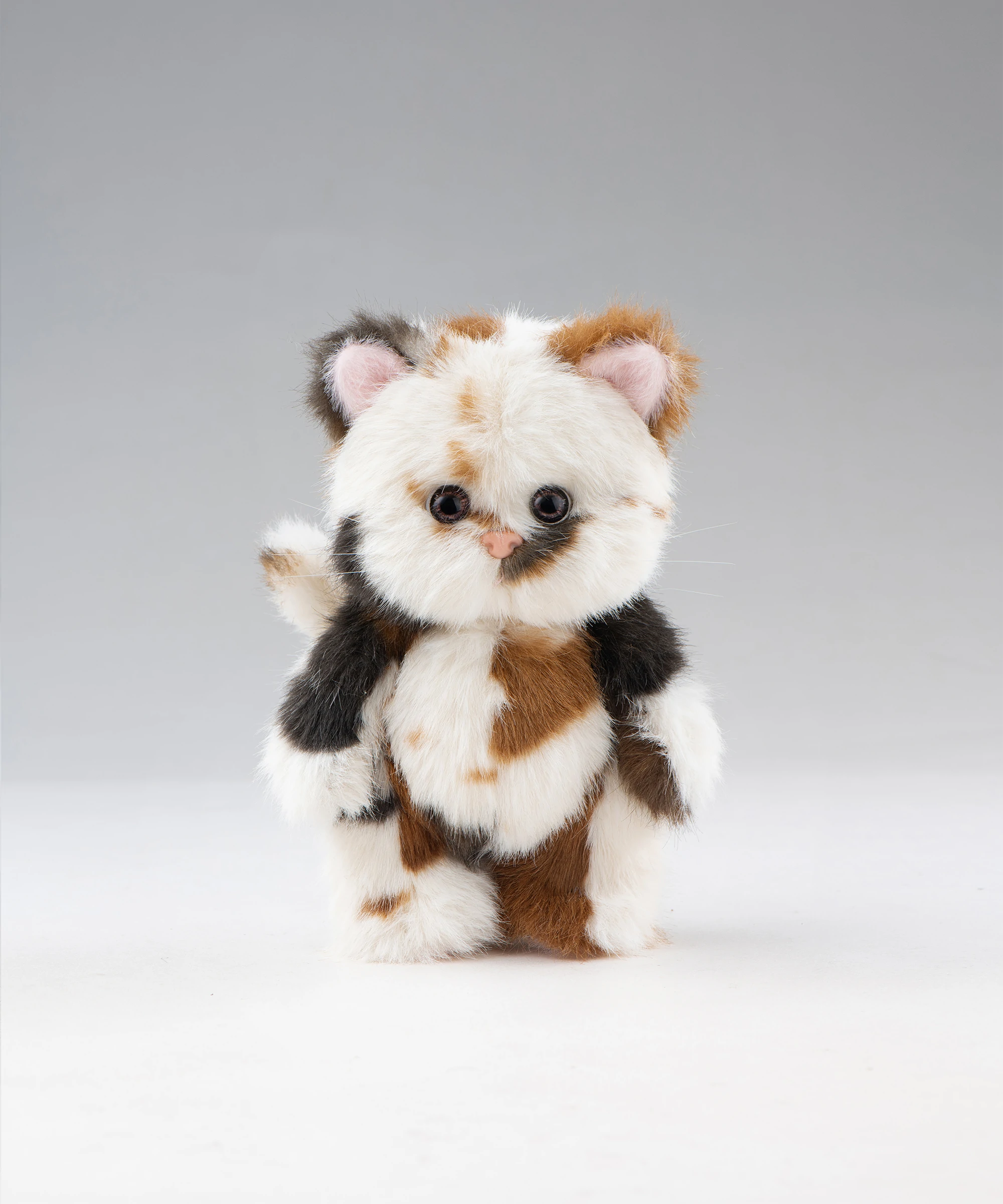 リナ メロウメルティもちもちS(20cm)