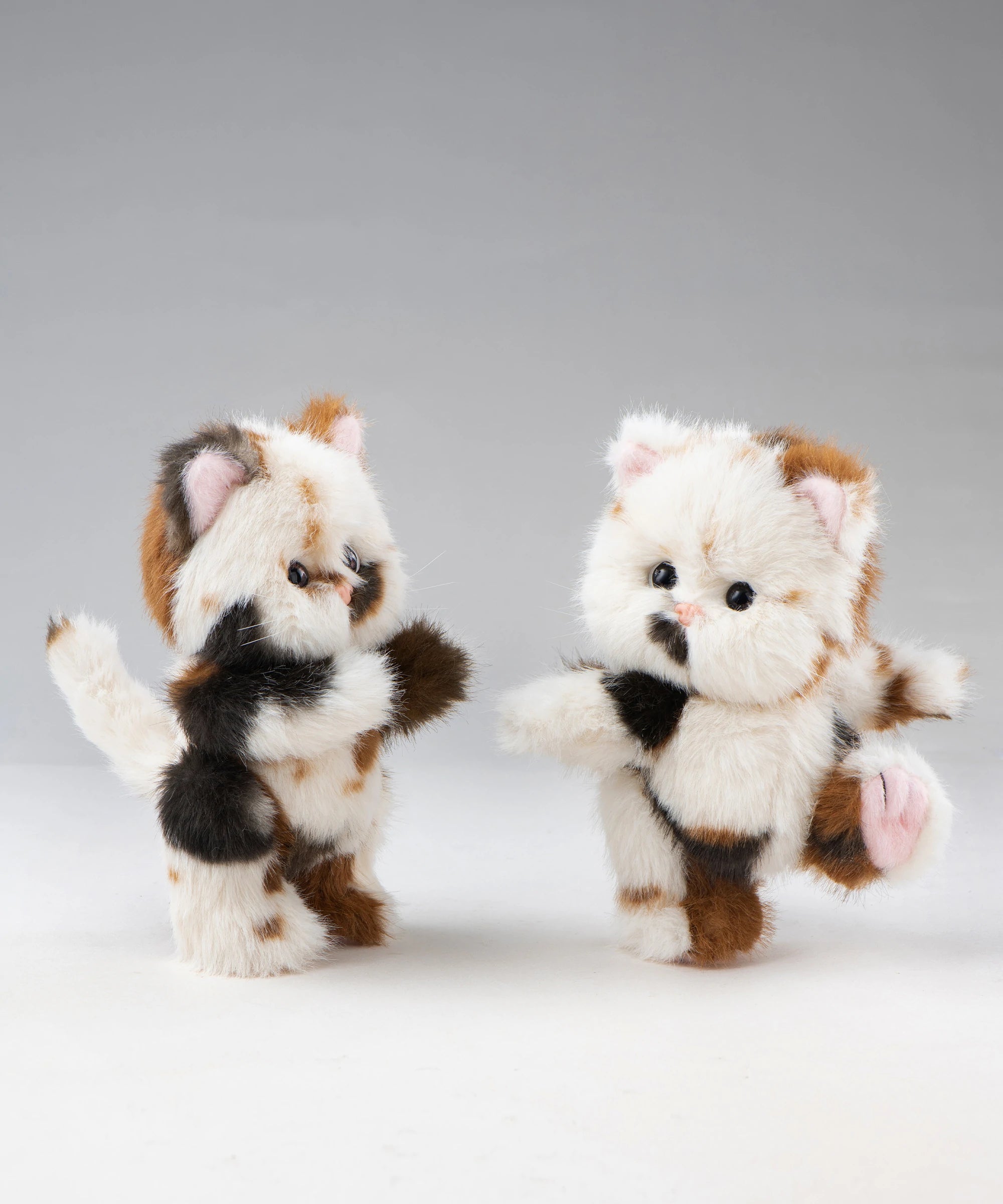 リナ メロウメルティもちもちS(20cm)
