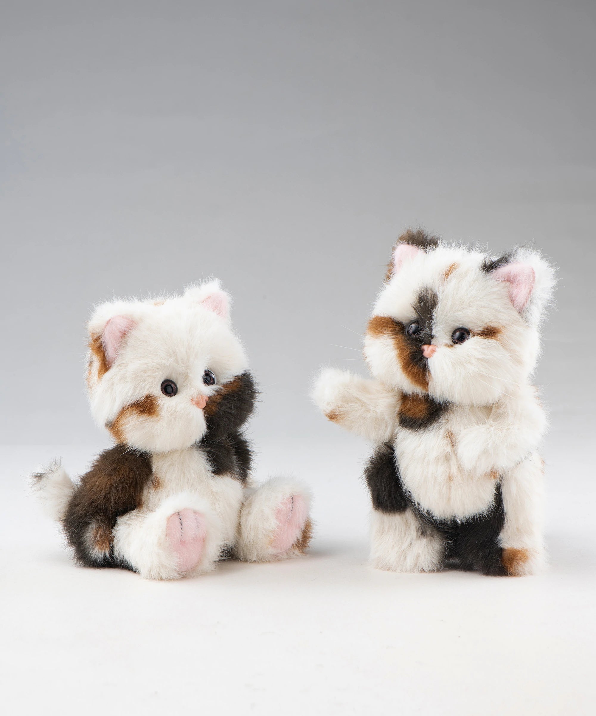 リナ メロウメルティもちもちS(20cm)