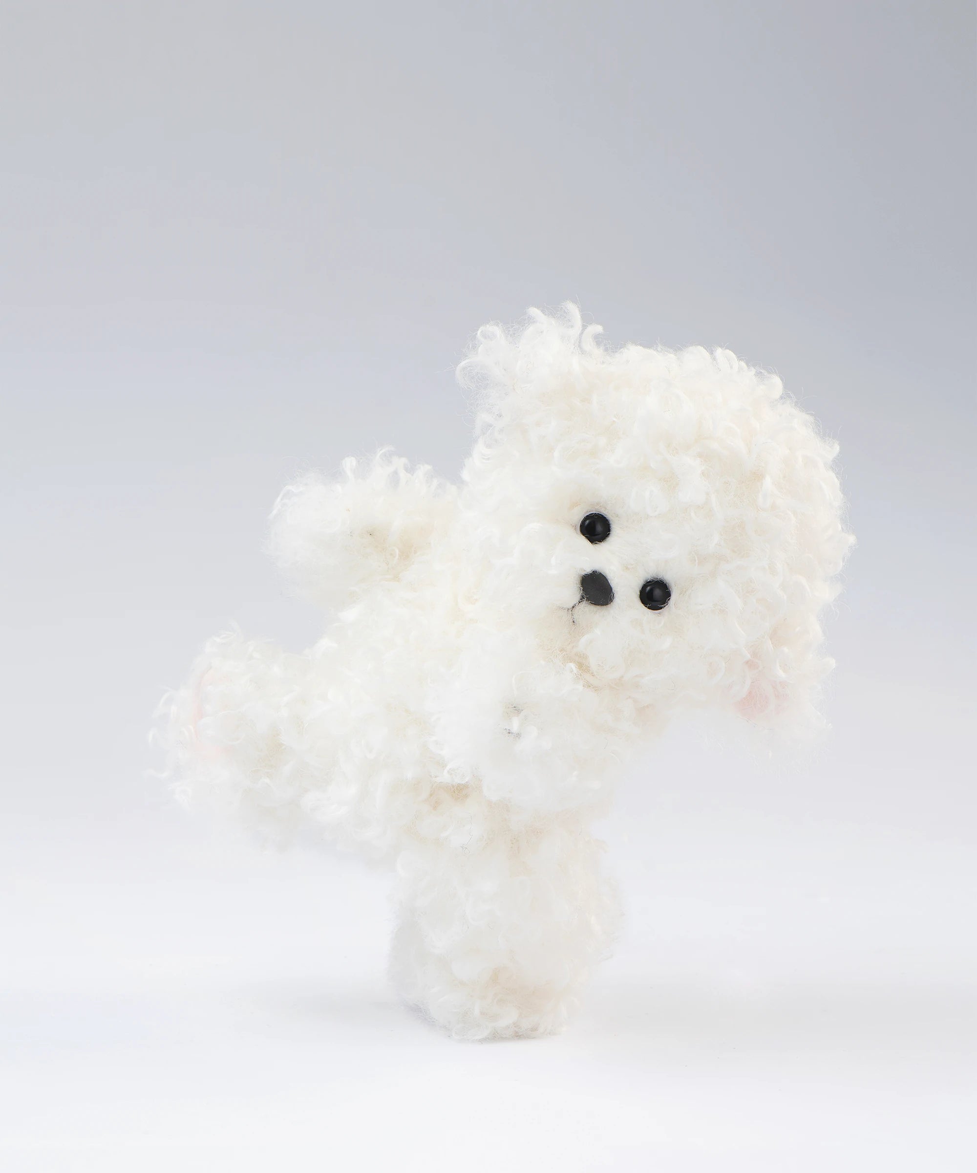 リナ パピービションフリーゼ S(20cm)