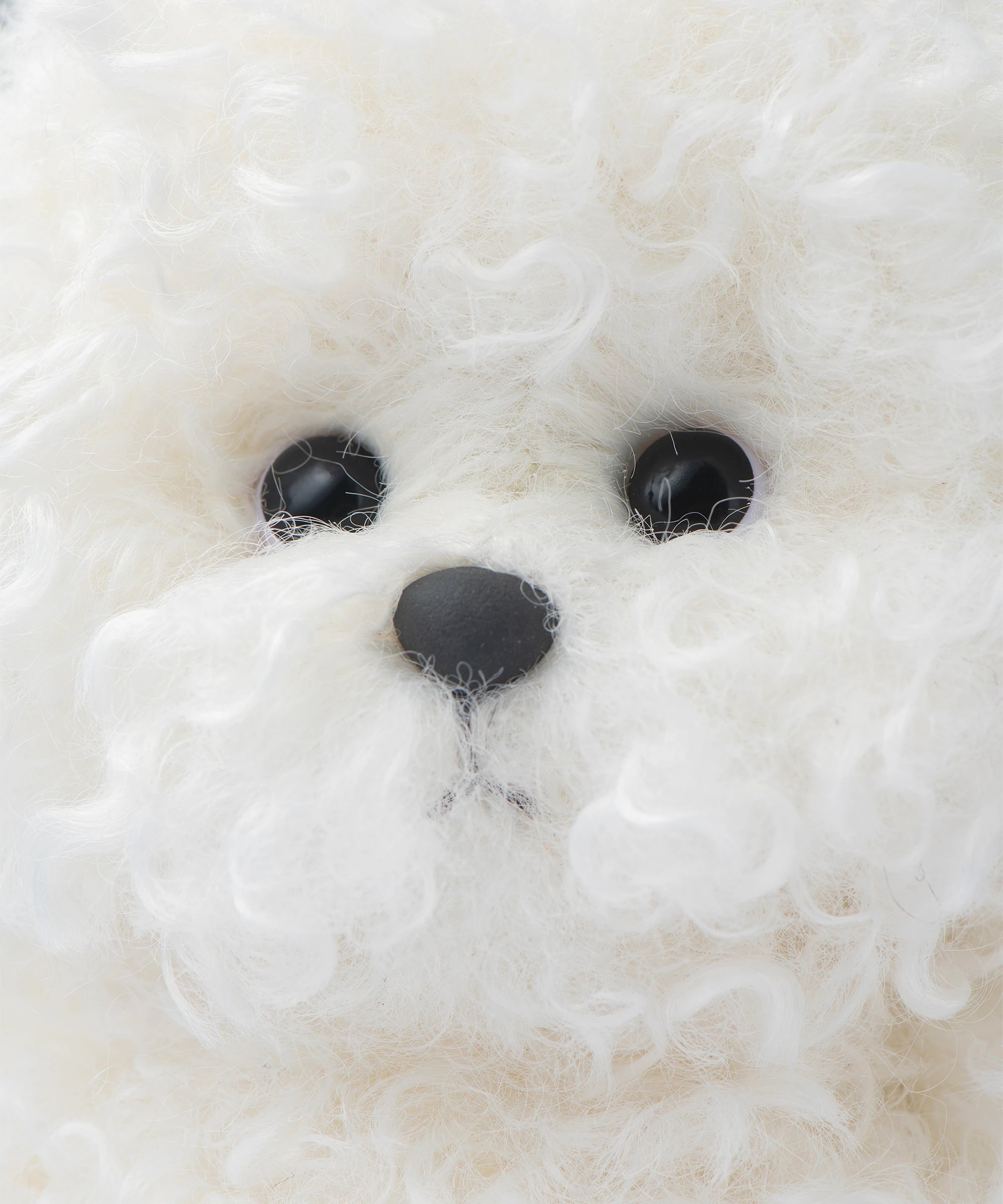 リナ パピービションフリーゼ S(20cm)
