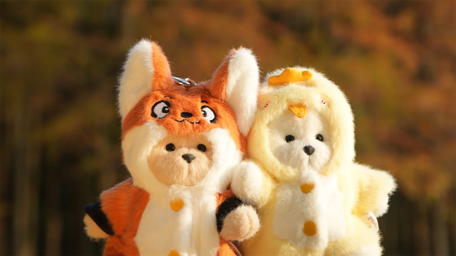 Pocket Series