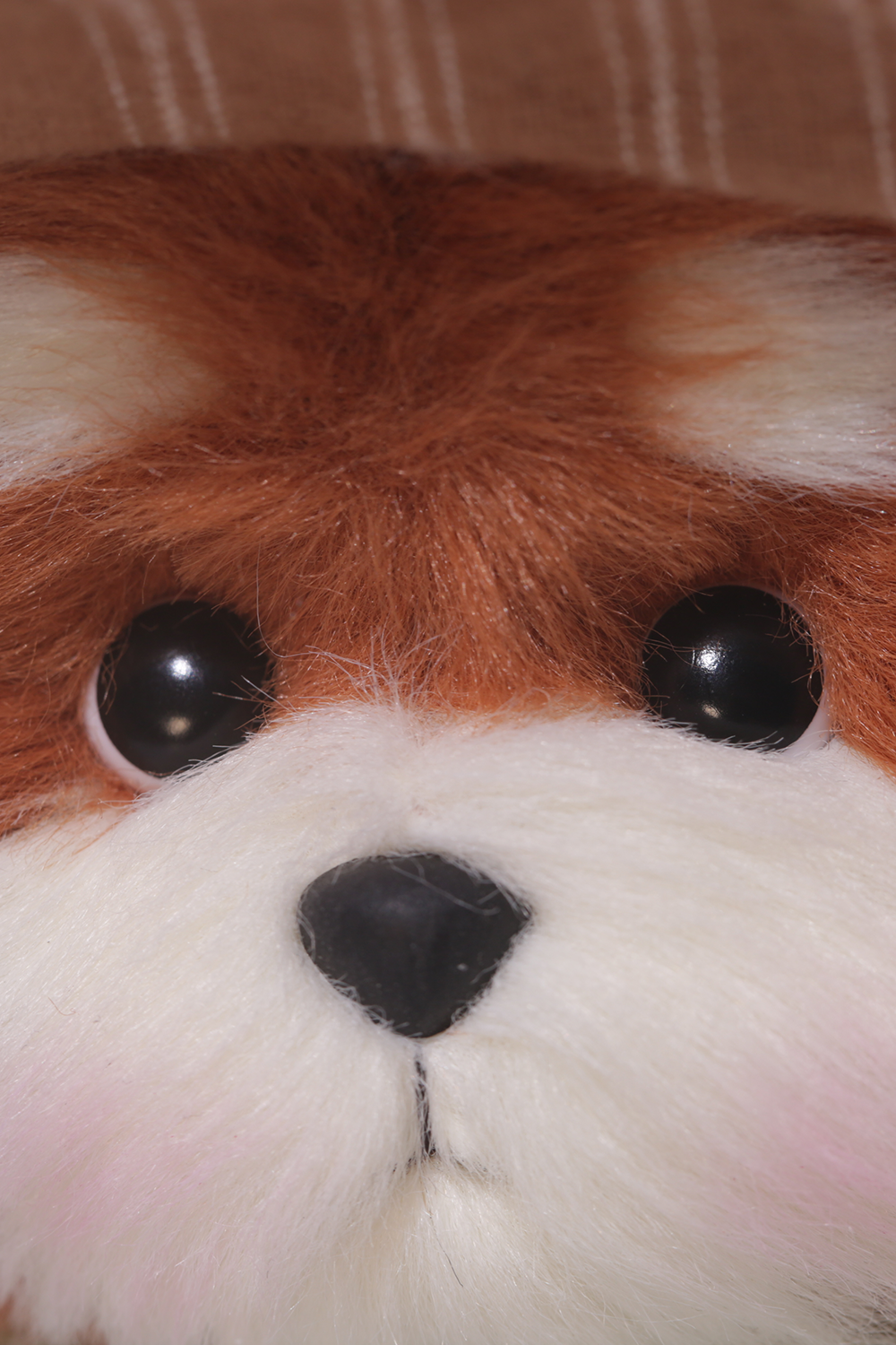 Lina Bear Pocket Series - Red Panda with Explorer Suit (15CM)