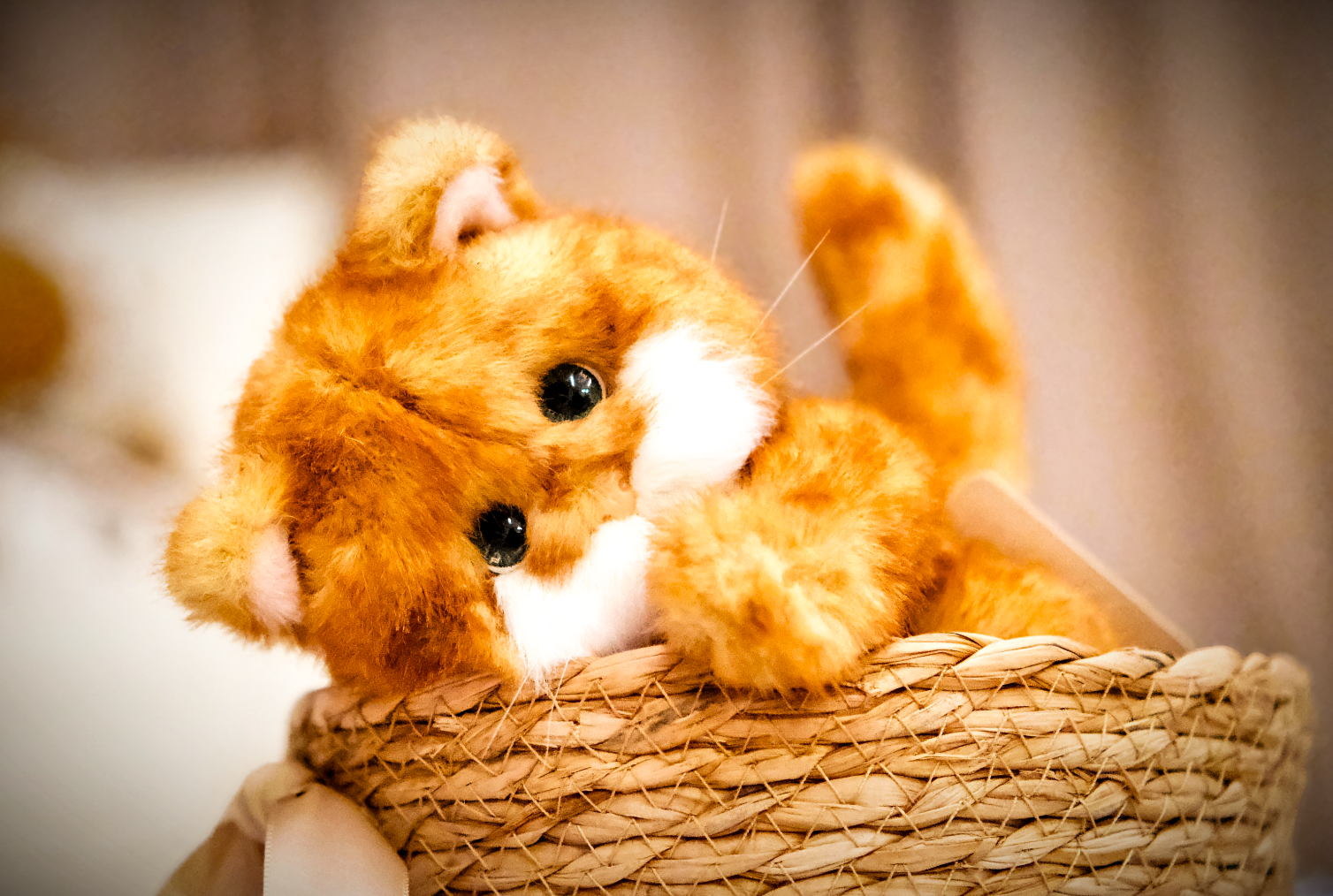 Lina Meow Marmalade Puff (20cm)