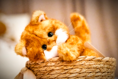 Lina Meow Marmalade Puff (20cm)