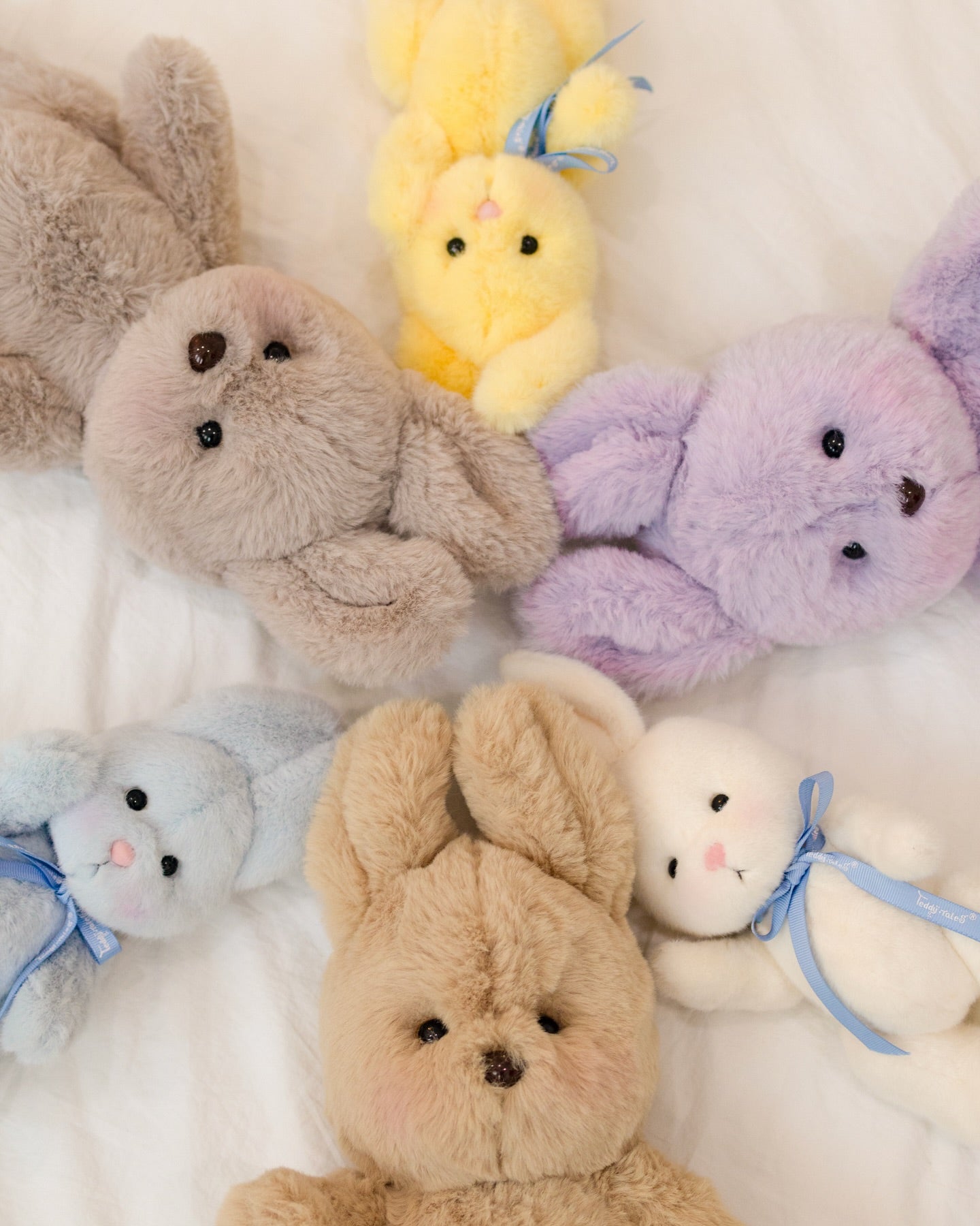 Lina Cat – TeddyTales