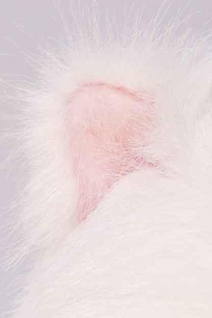 Lina Meow Snow Princess (20cm)