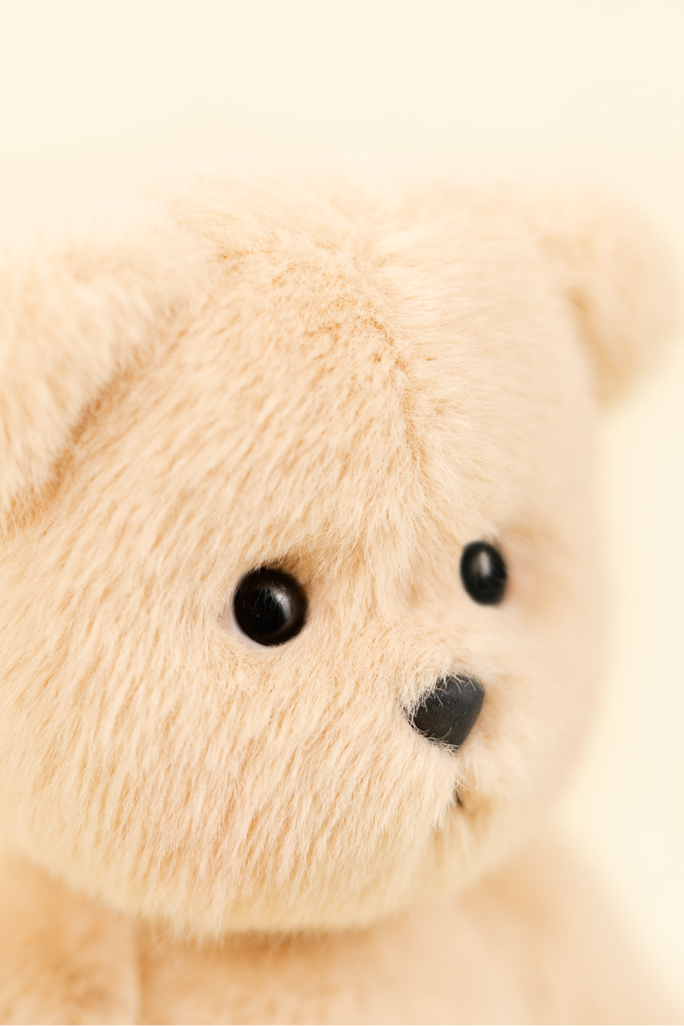Maatan様 新品 韓国ブランド TeddyTales テディーベア 公式テディテイルズストア | テディテイルズ – TeddyTales