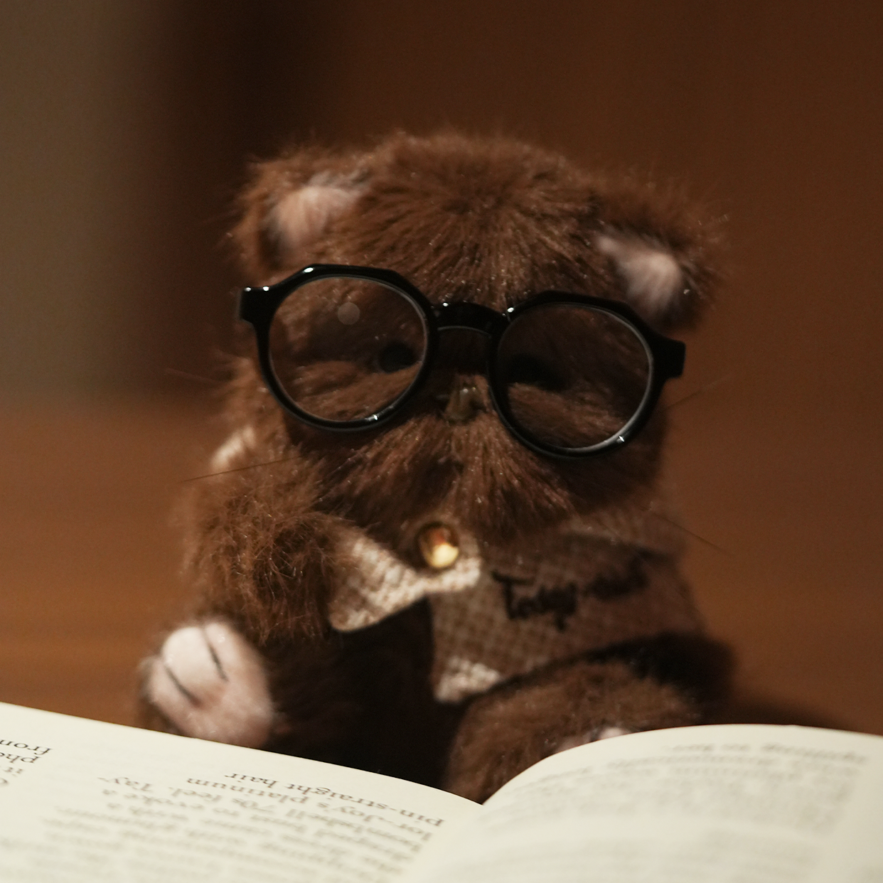 Lina Pocket Series - Lina Meow Tiramisu Kitten with Khaki Cloak Lina Pocket Series - Lina Meow Tiramisu Kitten with Khaki Cloak