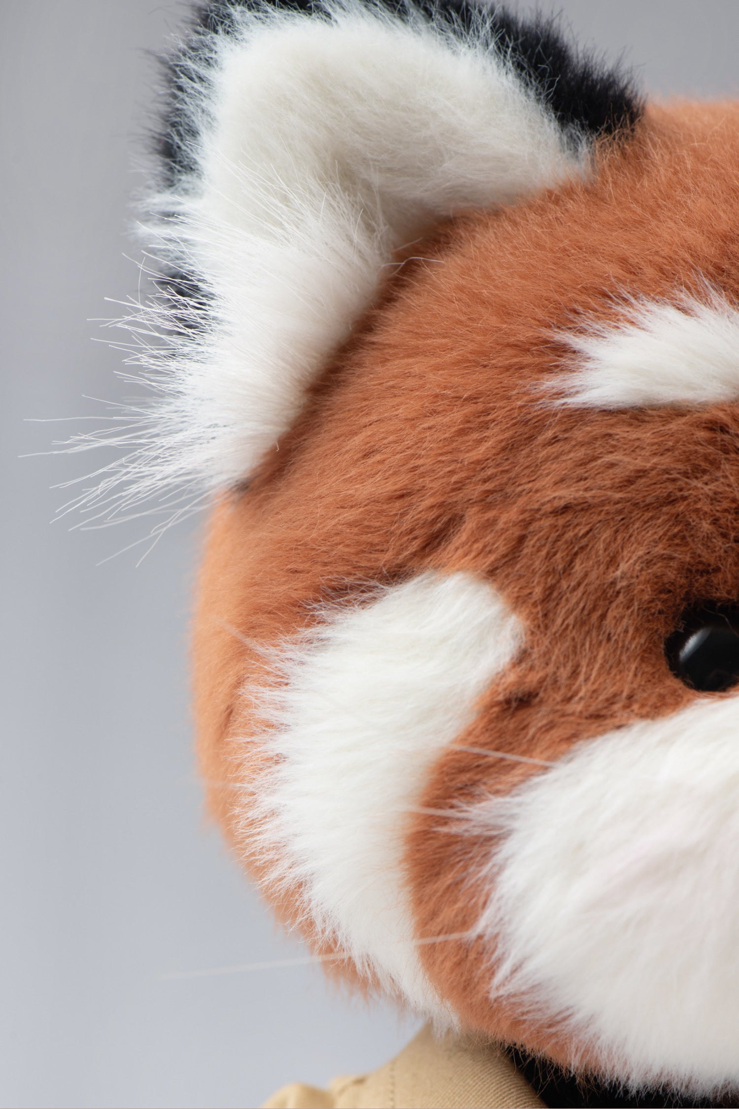 Red Panda with Explorer Suit (30cm) – TeddyTales