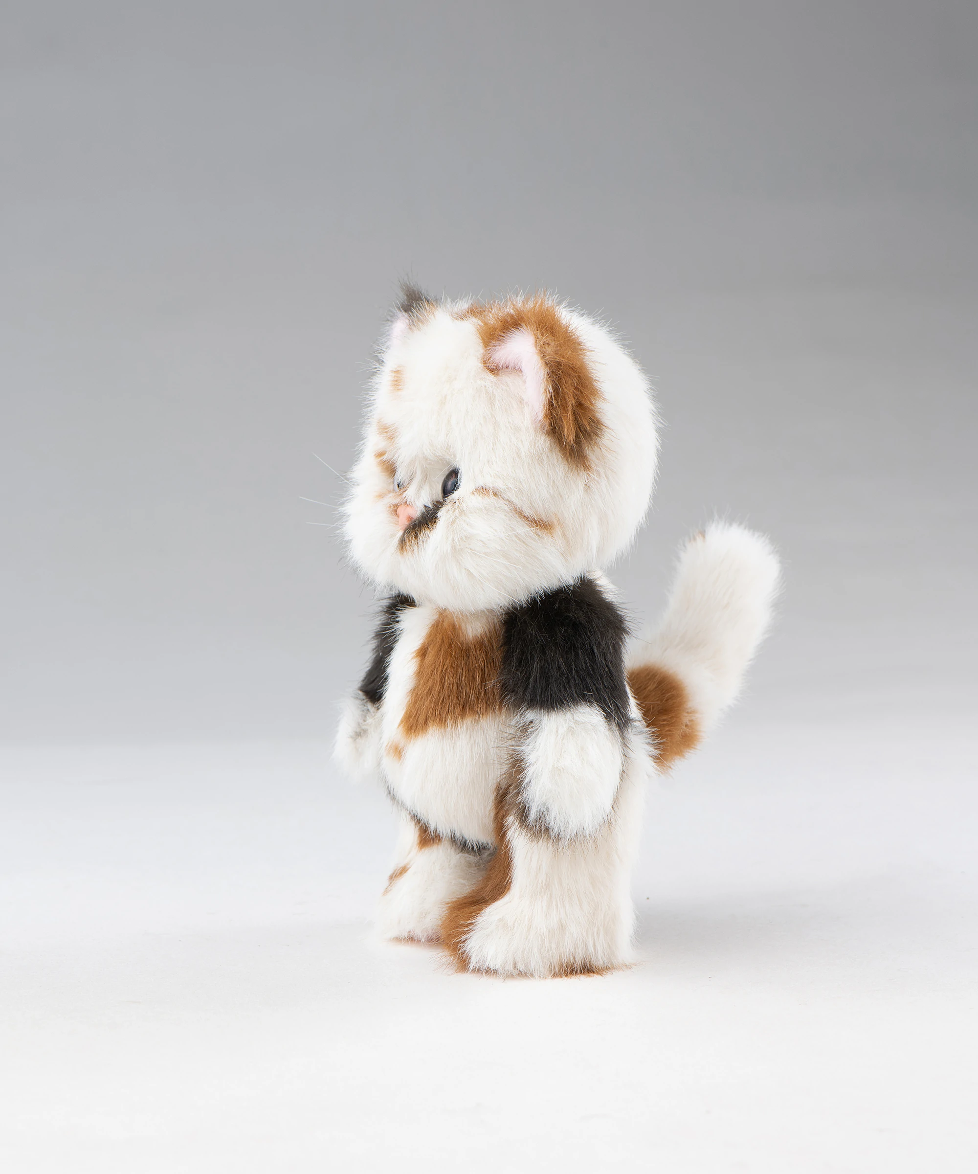 リナ メロウメルティもちもちS(20cm)
