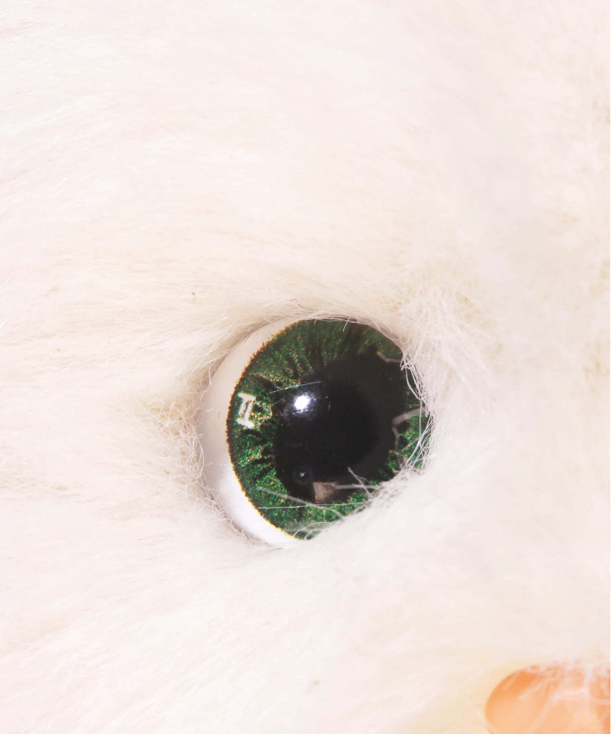 Lina Meow-Daifuku Mochi-S(20cm)