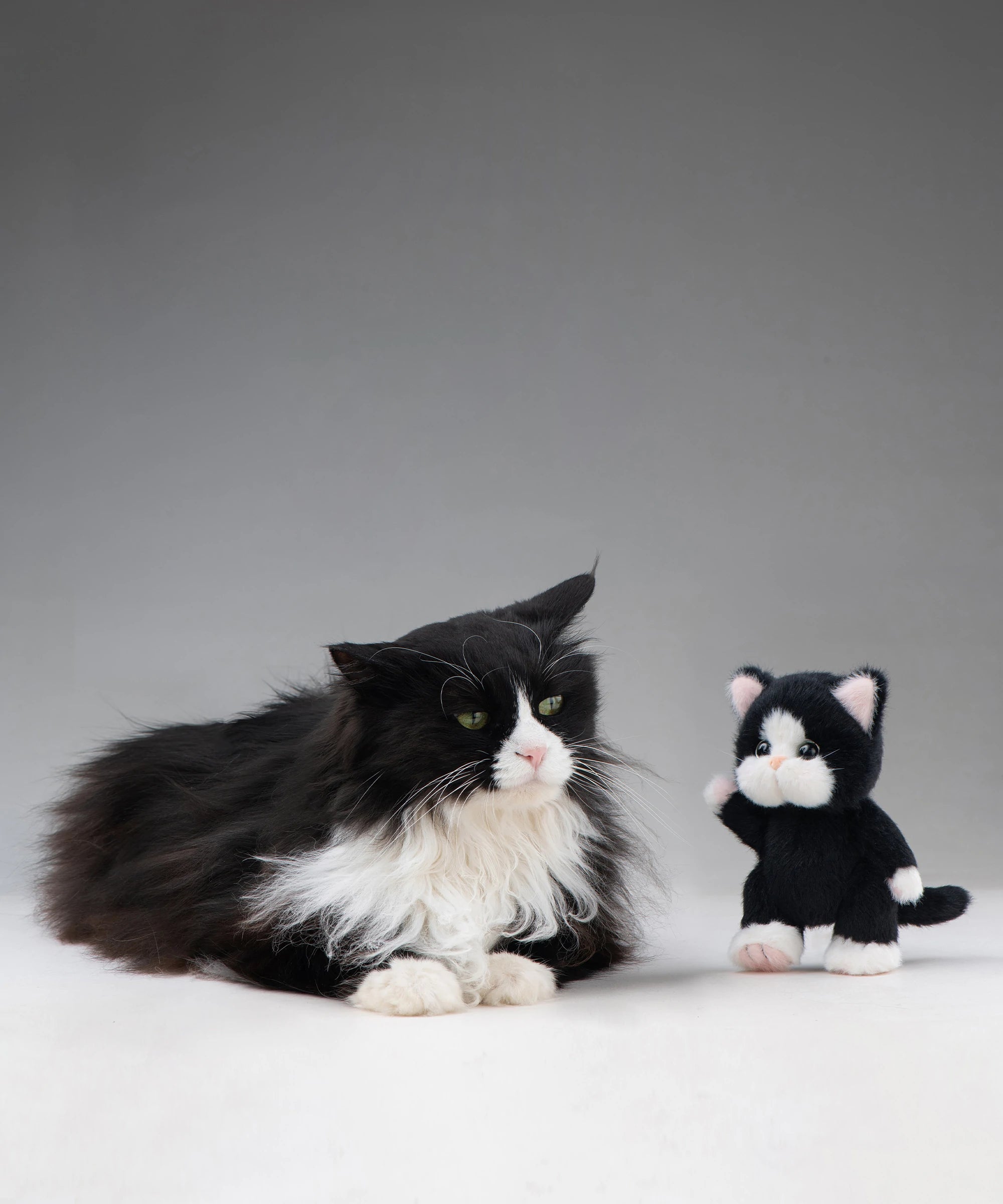Lina Meow-Snowpaw Mochi-XS(15cm)