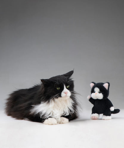 Lina Meow-Snowpaw Mochi-XS(15cm)