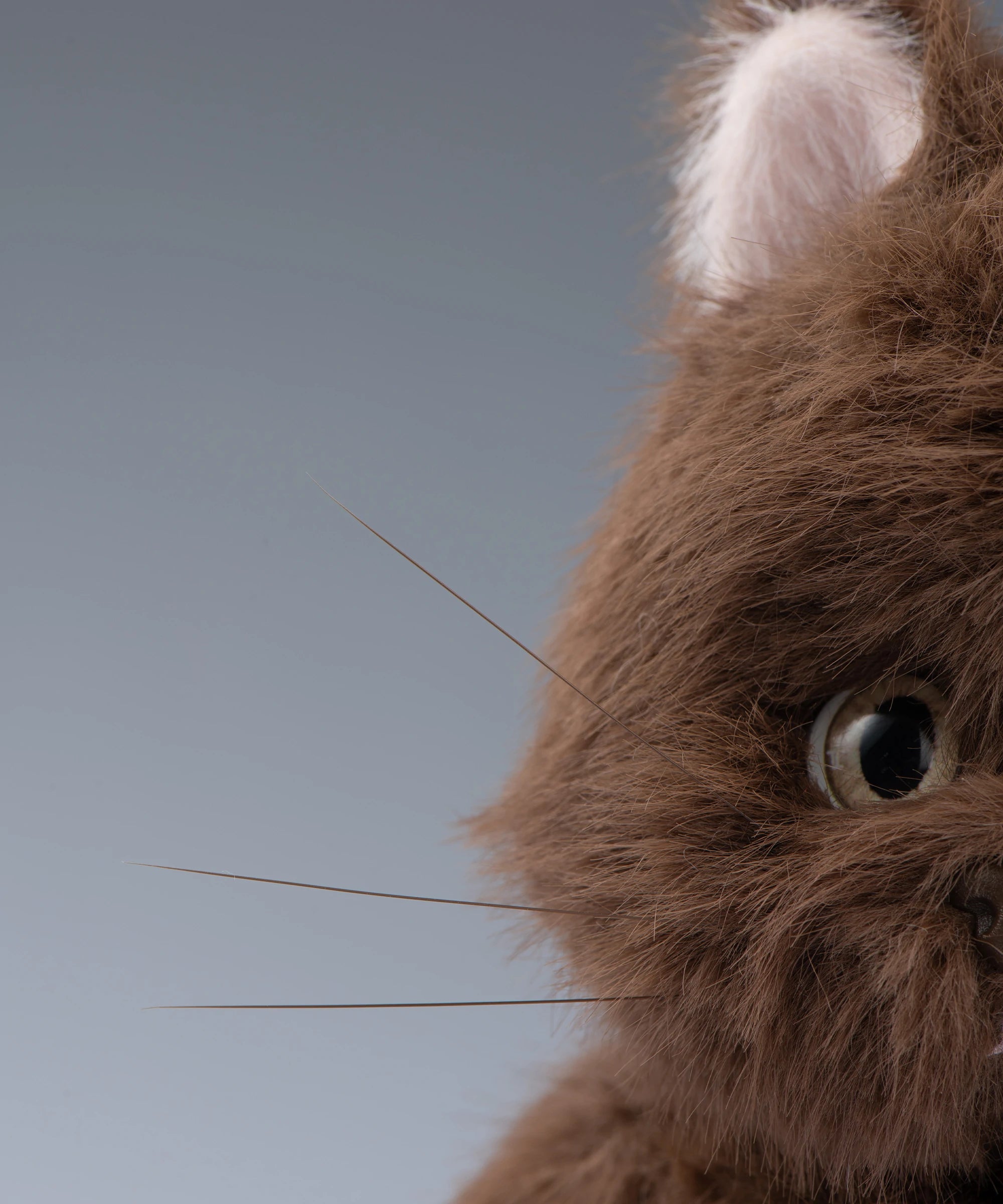 Lina Meow-Tiramisu-S(20cm)