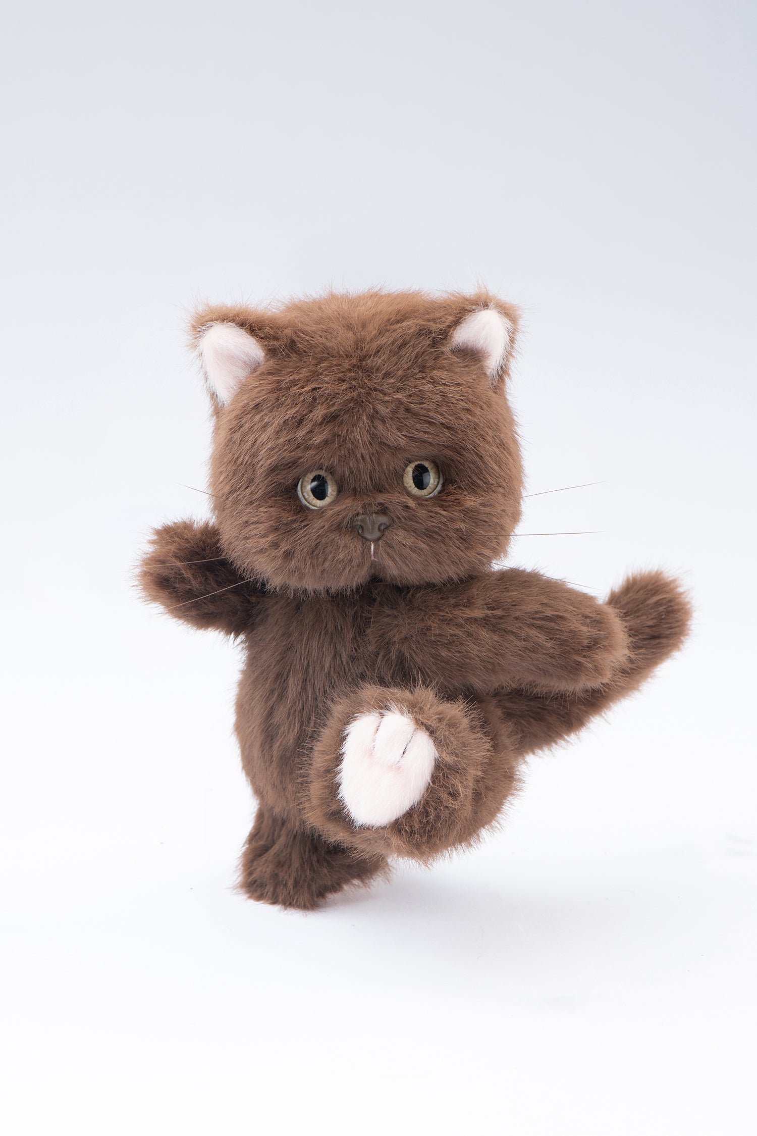 Lina Meow Tiramisu(20cm)