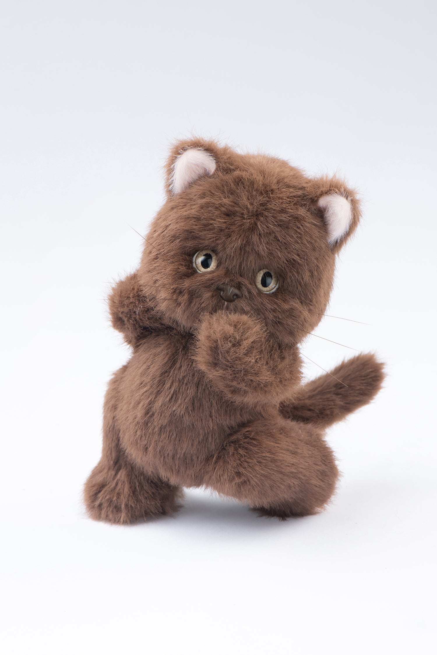 Lina Meow Tiramisu(20cm)