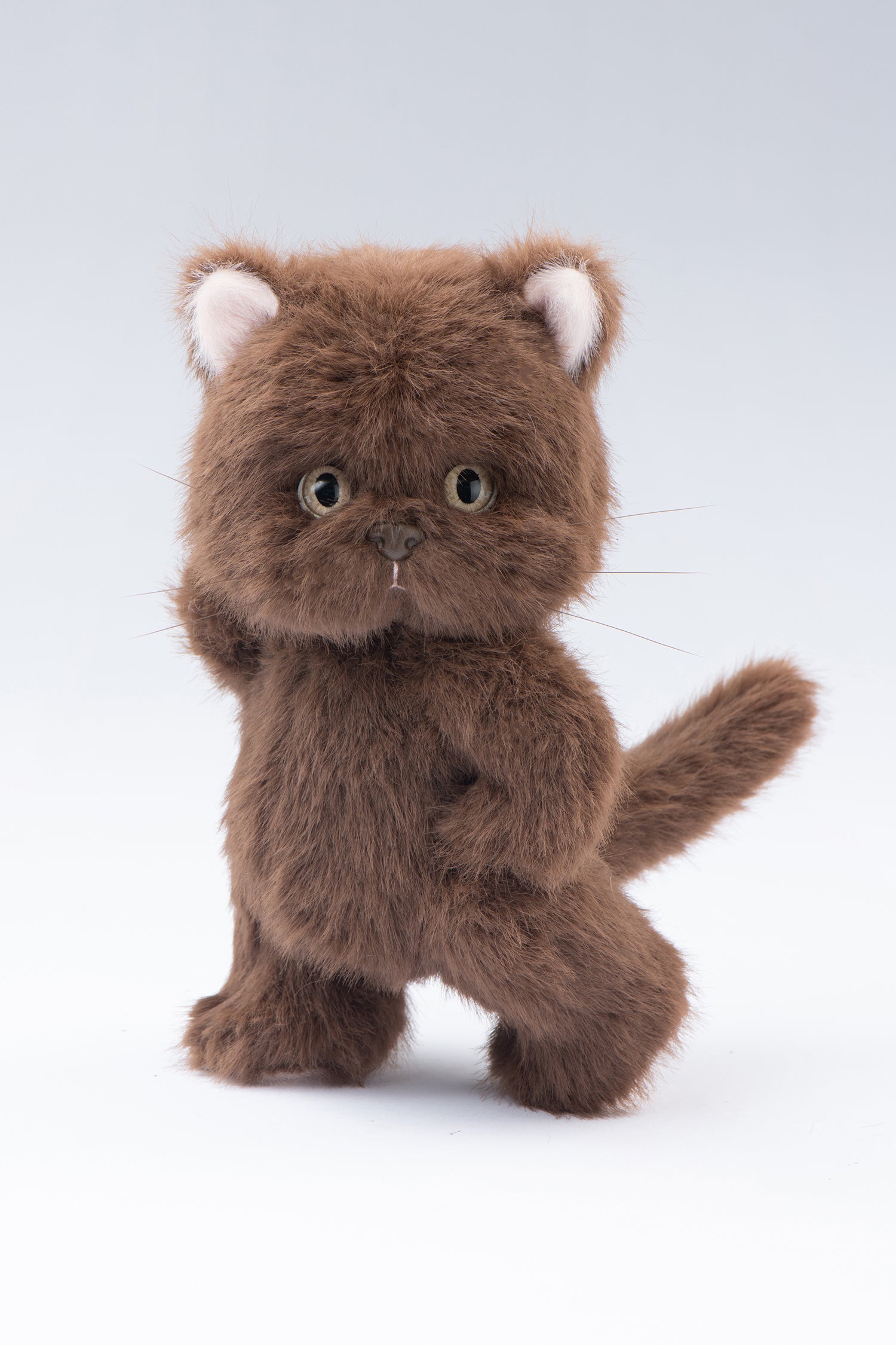 Lina Meow Tiramisu(20cm)