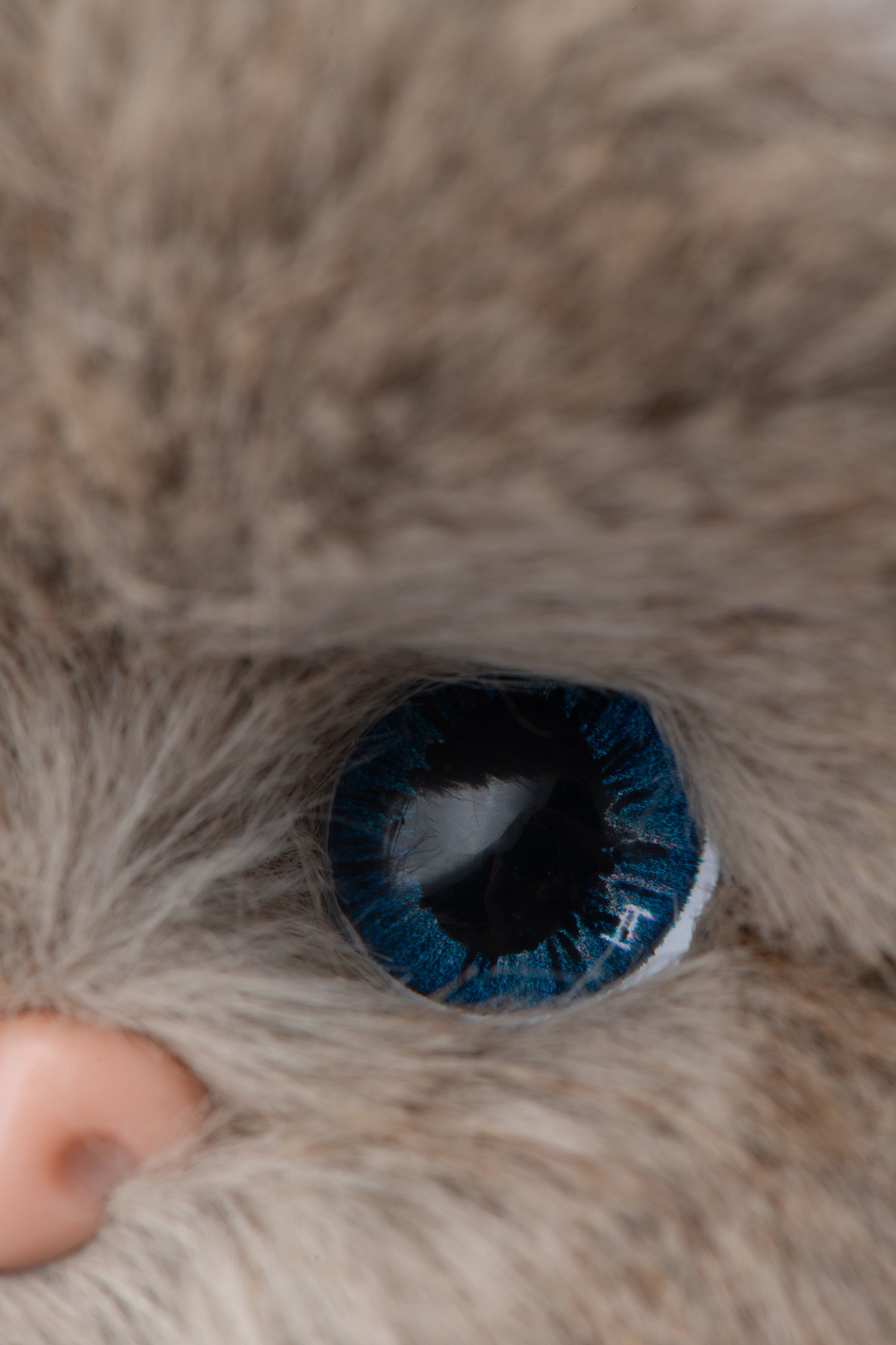 Lina Meow Whipped Cream (20cm) – TeddyTales